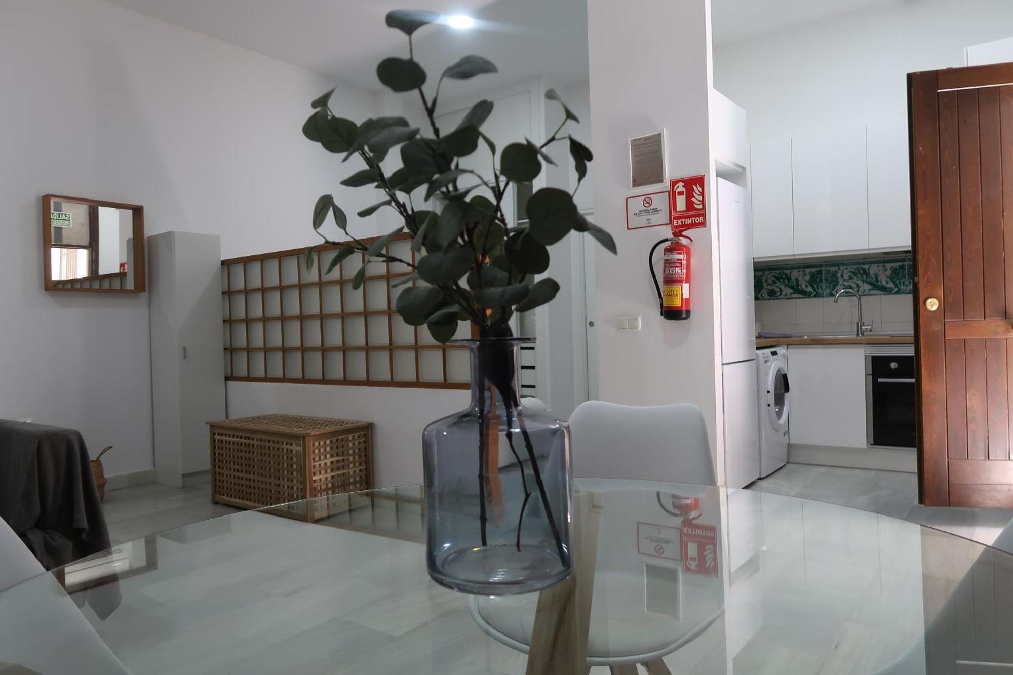 J & E Malaga Center Apartamentos エクステリア 写真